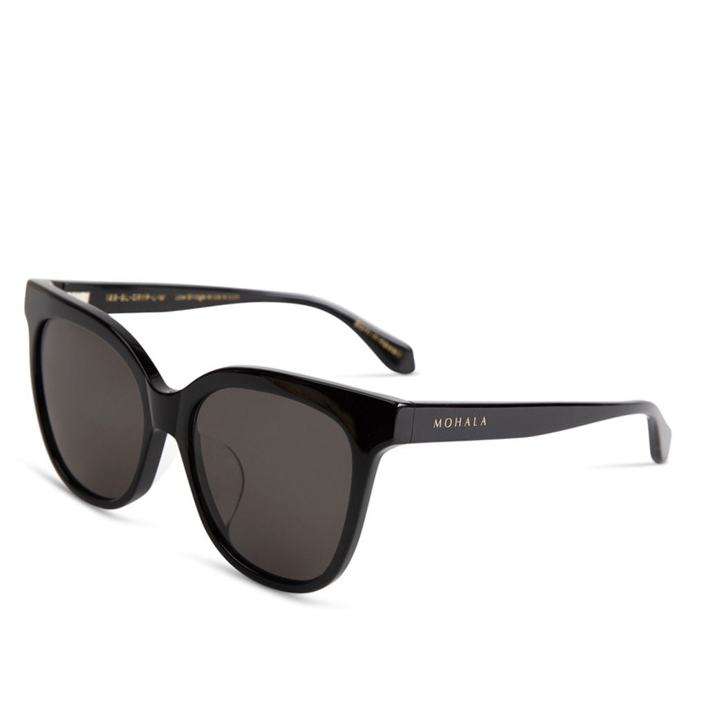 #color_Black Lava with Polarized Gray Lenses