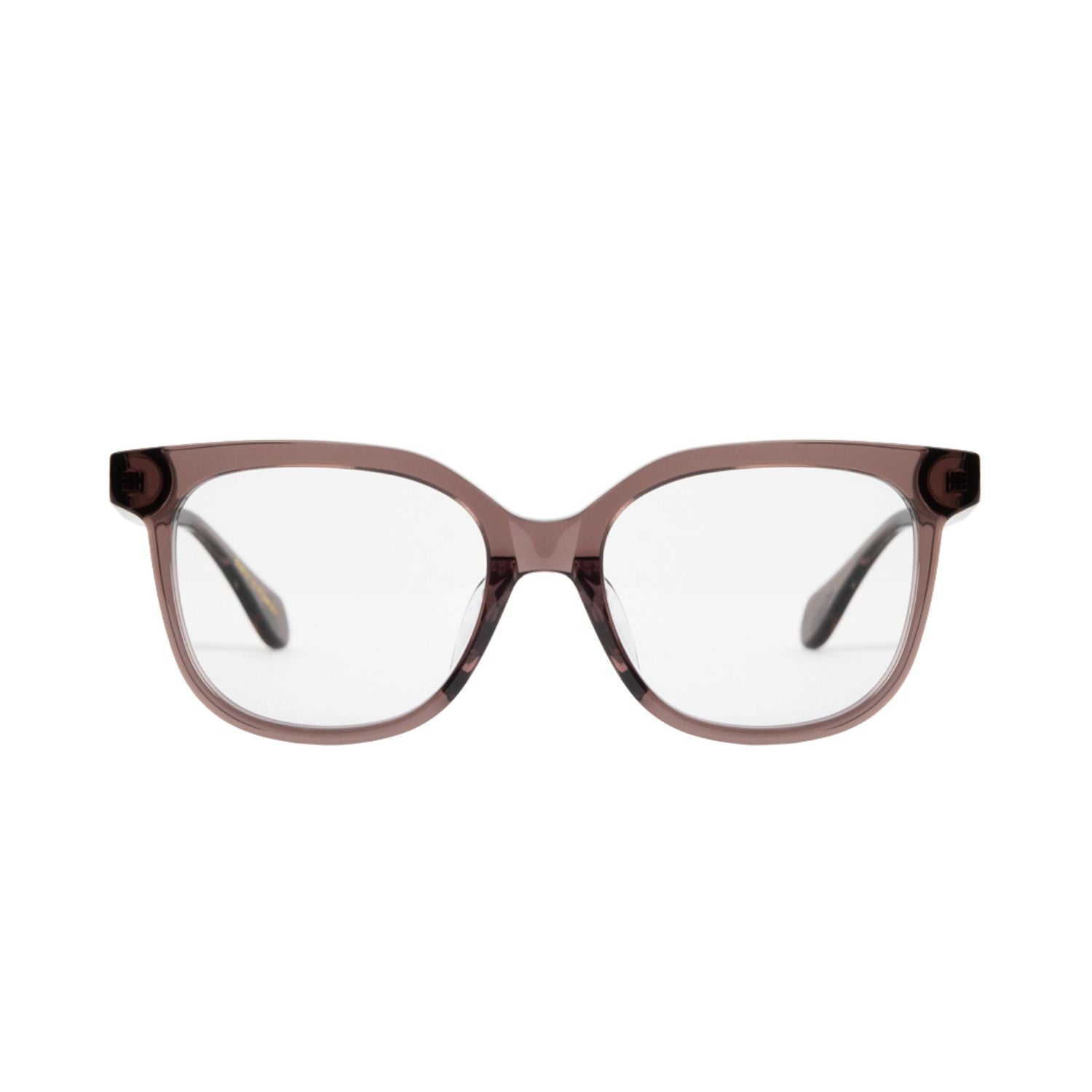 #color_Caribbean Conch