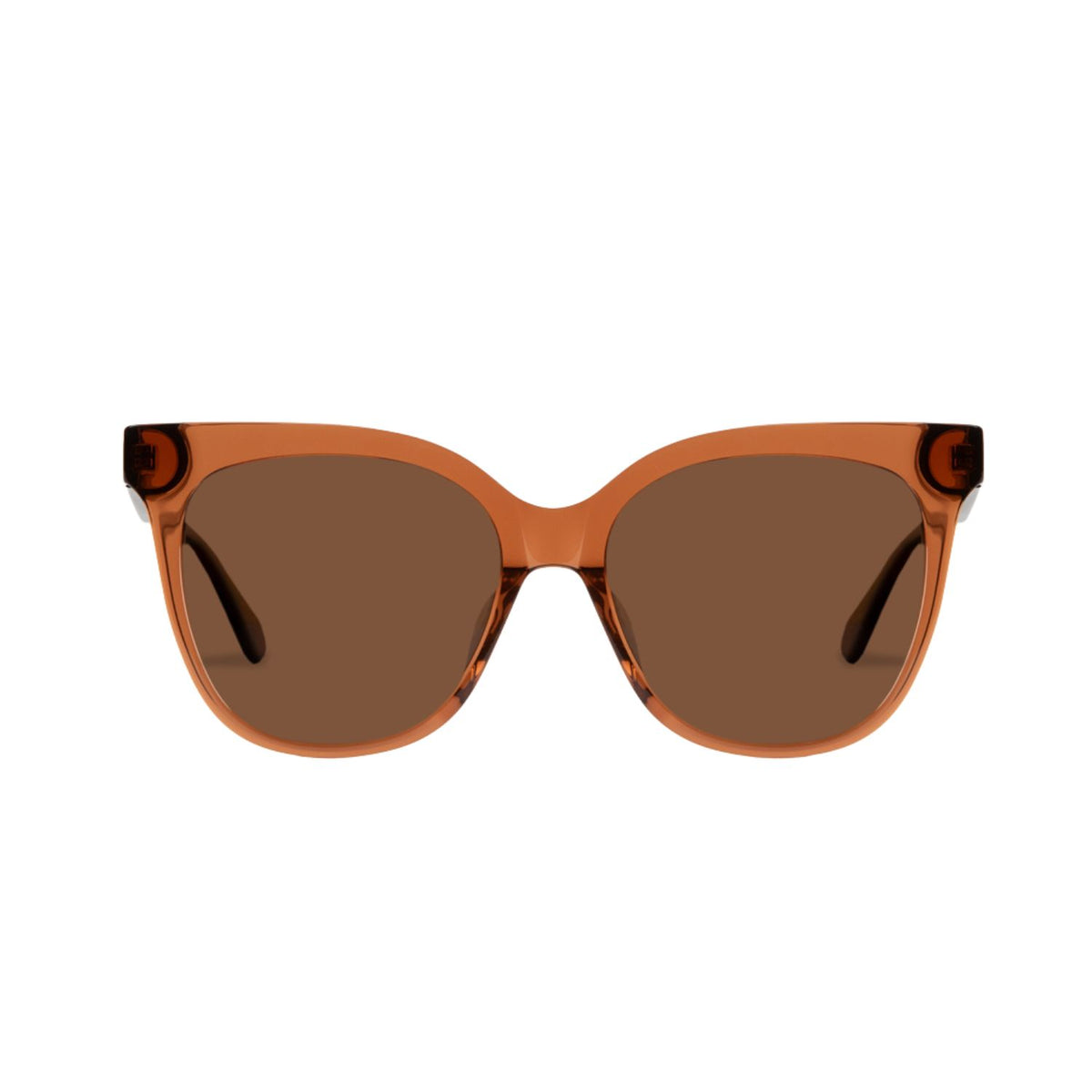 Polarized Cat Eye Sunglasses for Women UV Protection Spring Hinge Retro Big Frame Cat Eye Polarized Sunglasses Women with  main image 3