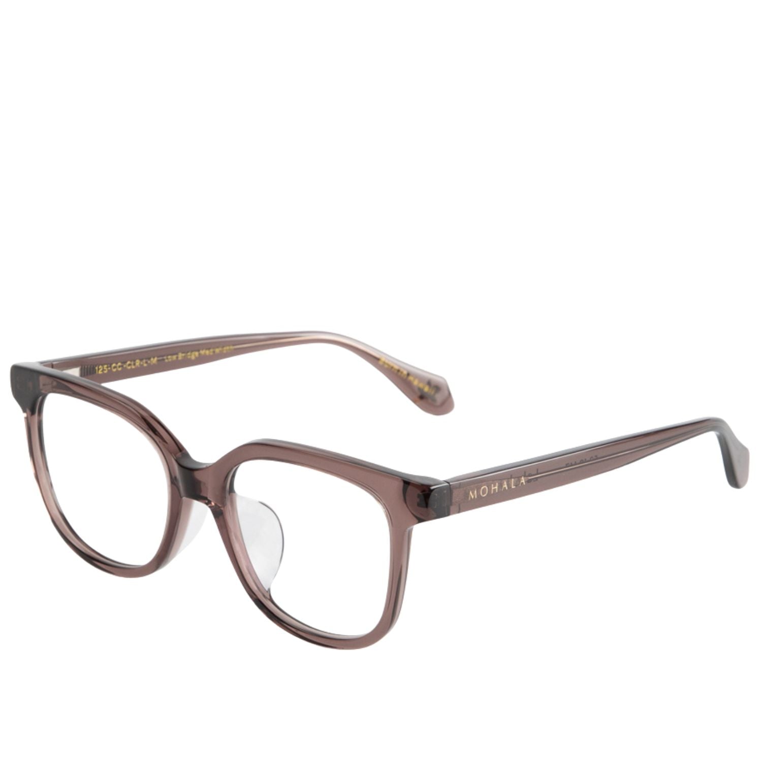 #color_Caribbean Conch