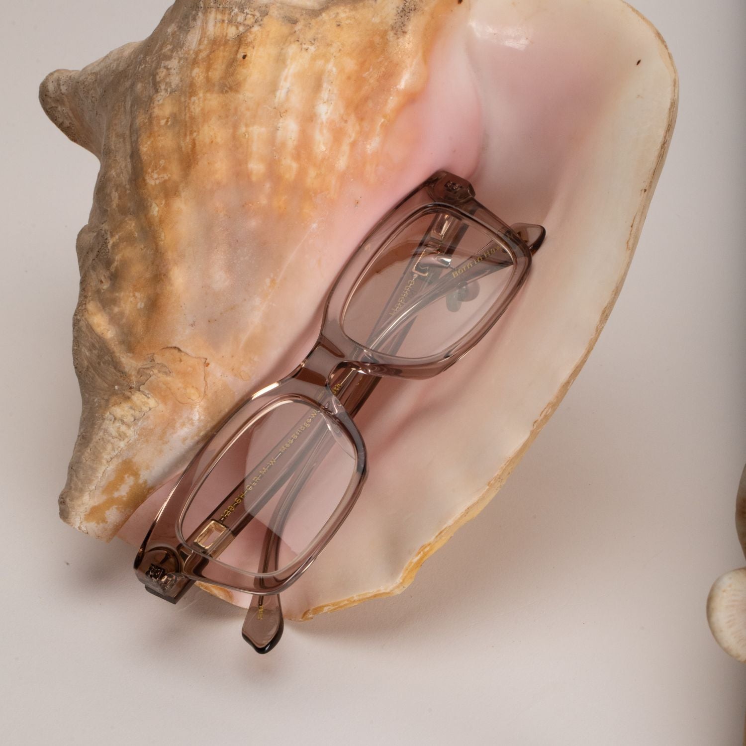 #color_Shell ContourBridge™ with Prescription Lens Options