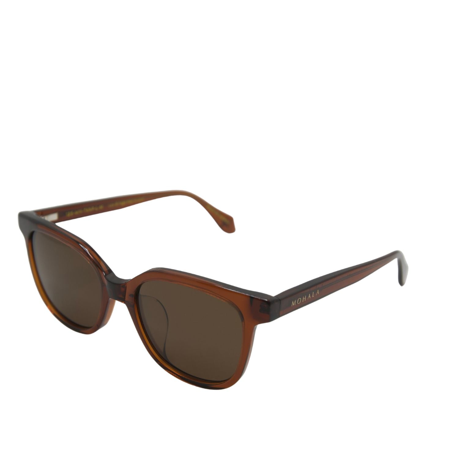 #color_Whiskey with Polarized Tan Lenses