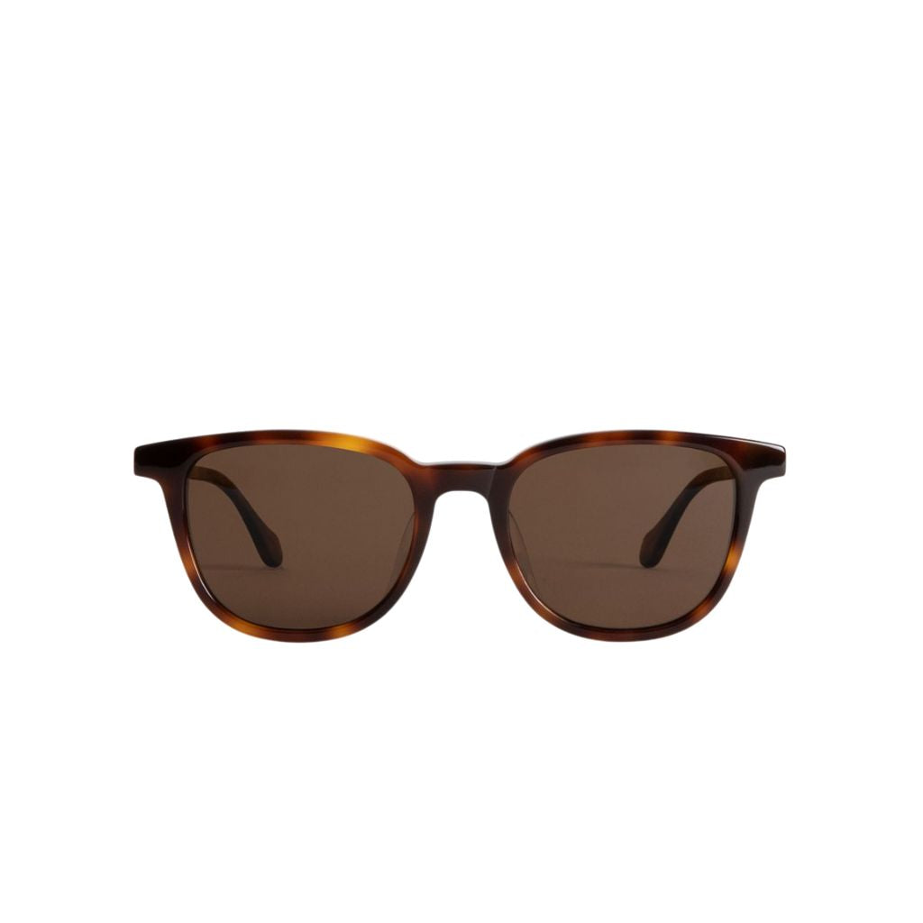 #color_Caribbean Conch with Tan Polarized Lenses