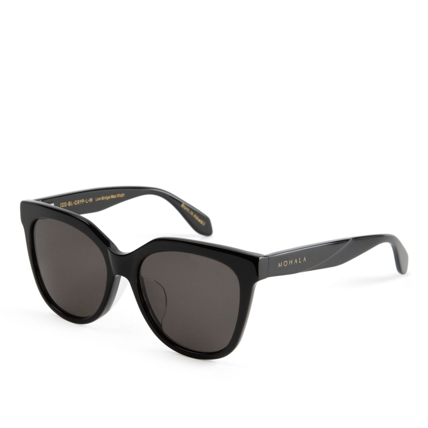 #color_Black Lava with Polarized Gray Lenses