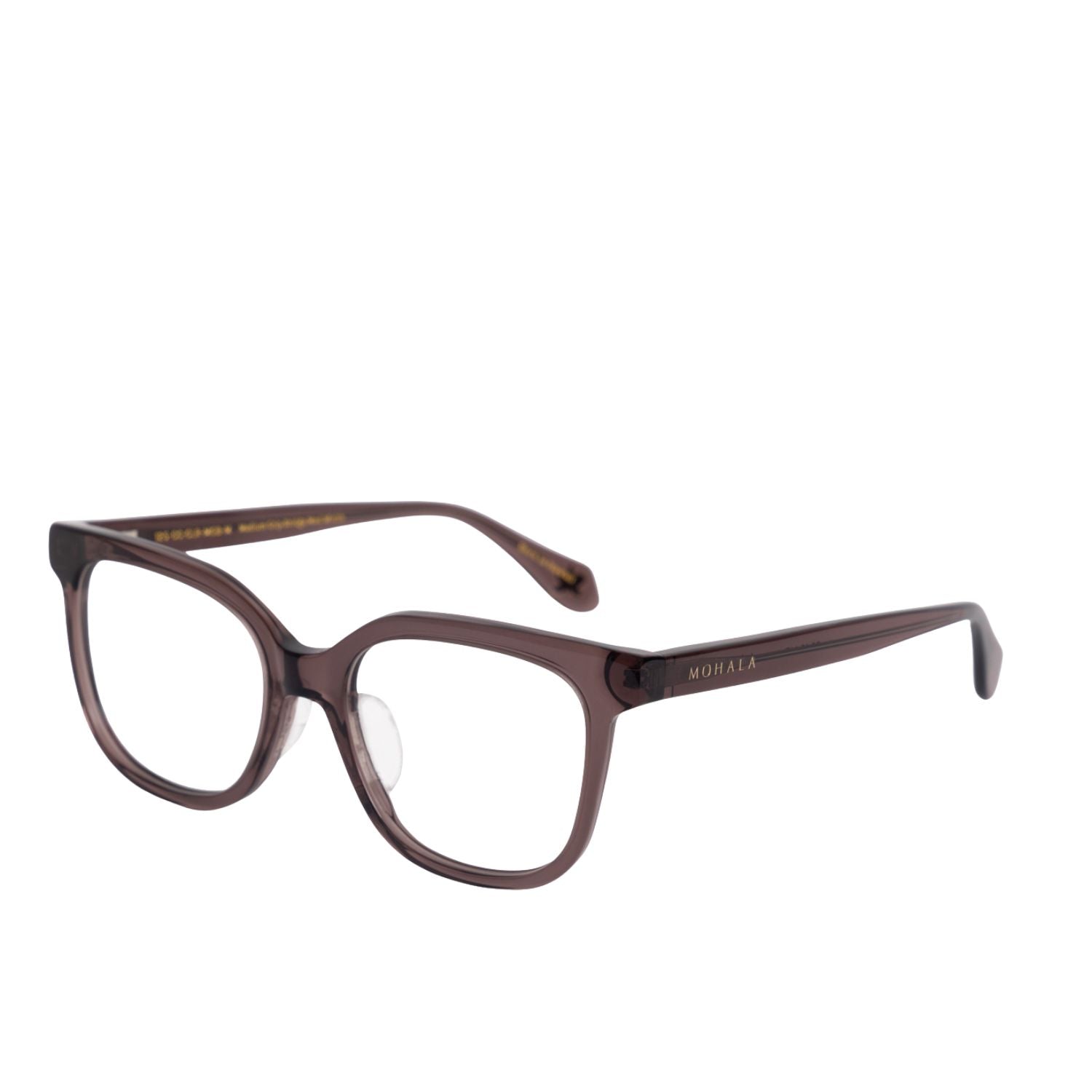 #color_Caribbean Conch 