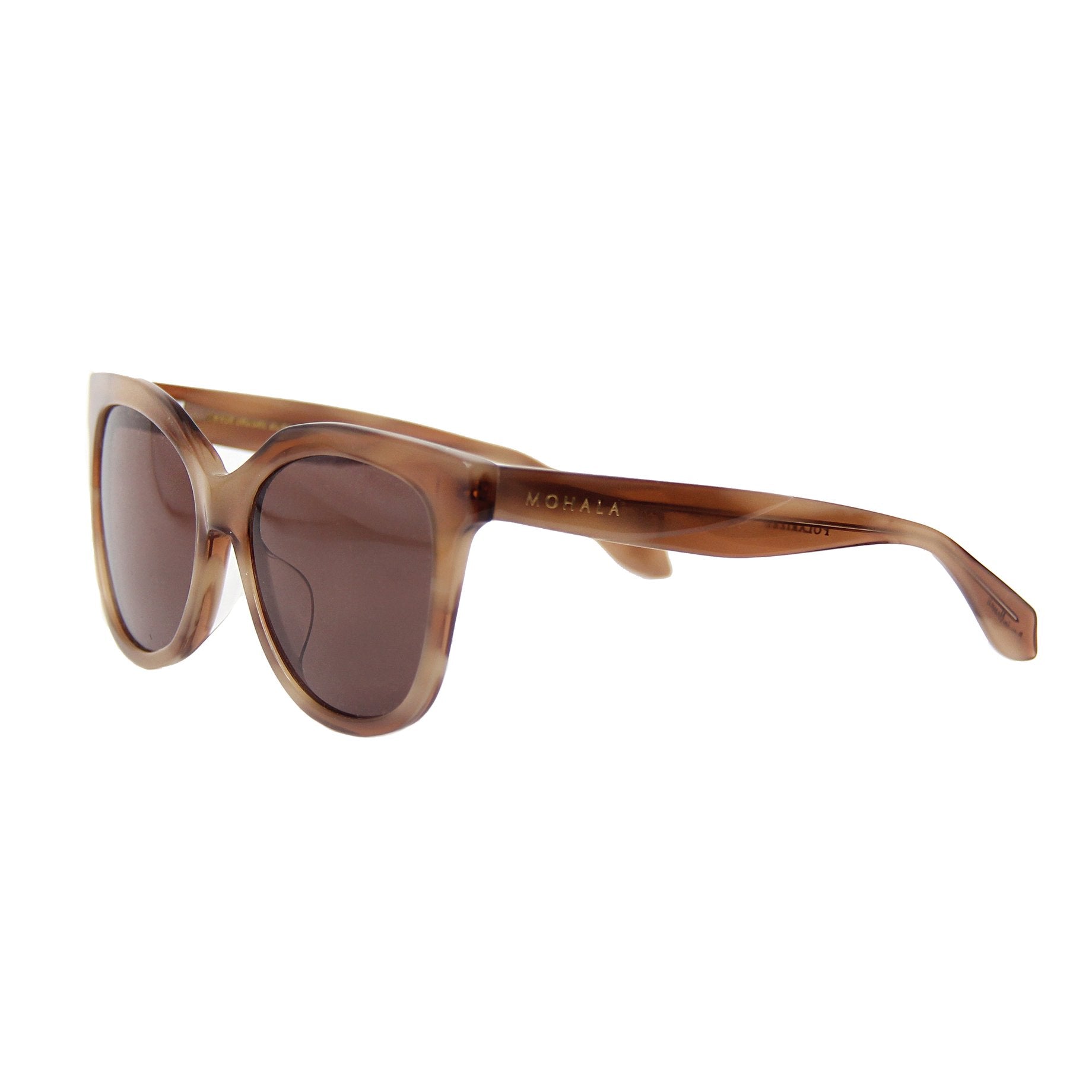 #color_Sand Dune with Polarized Tan Lenses